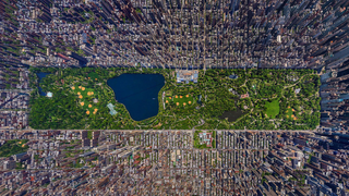 I can't believe this is a photo of Central Park